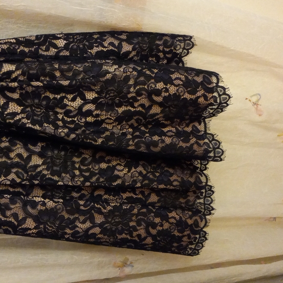 STUNNING Eliza J one shoulder NYSTROMS tea length navy lace dress size 10 - Picture 14 of 15